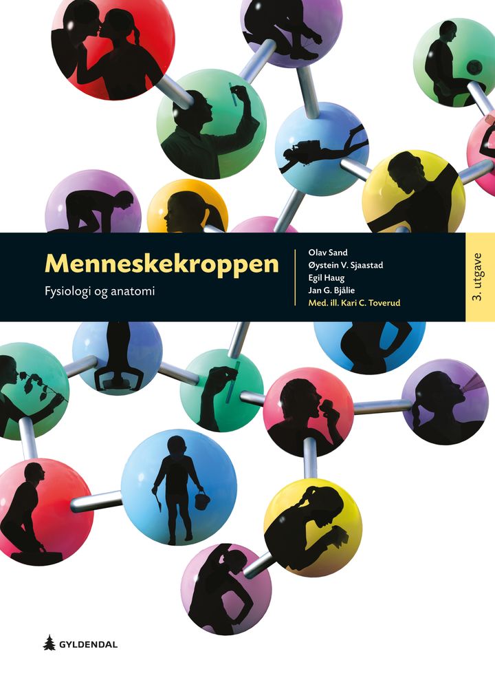 bokomslag: Menneskekroppen : fysiologi og anatomi