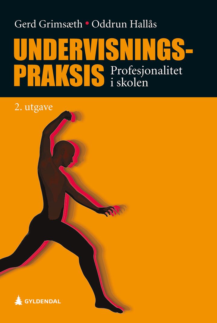 bokomslag: Undervisningspraksis : profesjonalitet i skolen