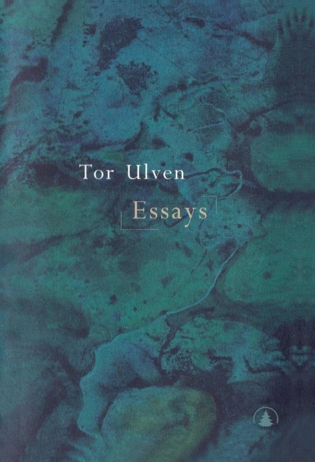 Essays
