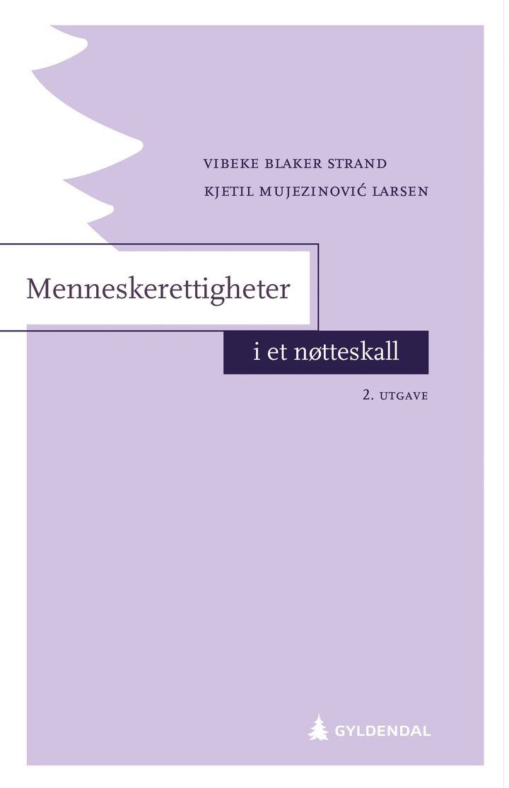 bokomslag: Menneskerettigheter i et nøtteskall