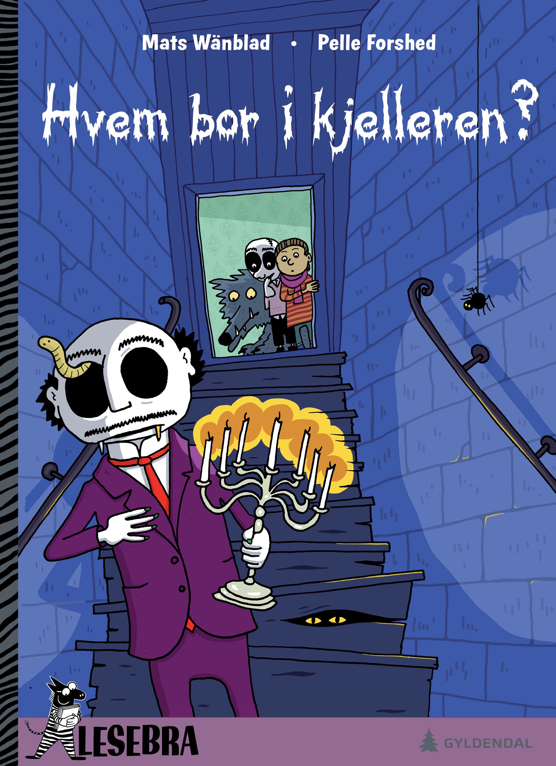 Bokomslag: Hvem bor i kjelleren?