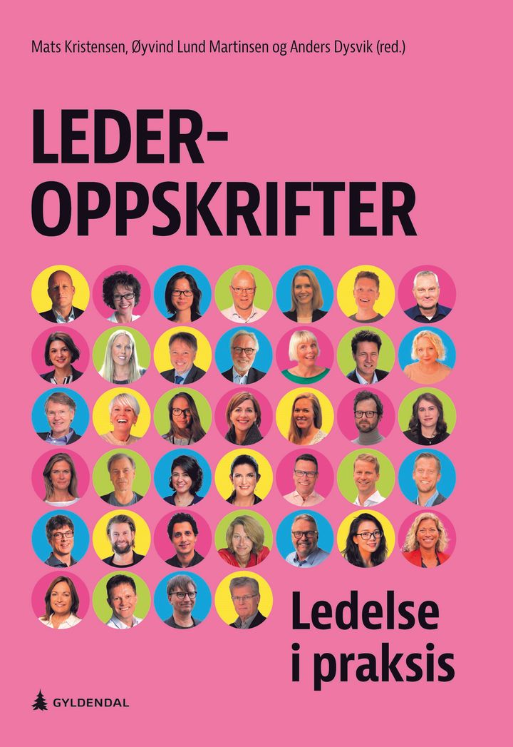 bokomslag: Lederoppskrifter : en praktisk bok om lederskap