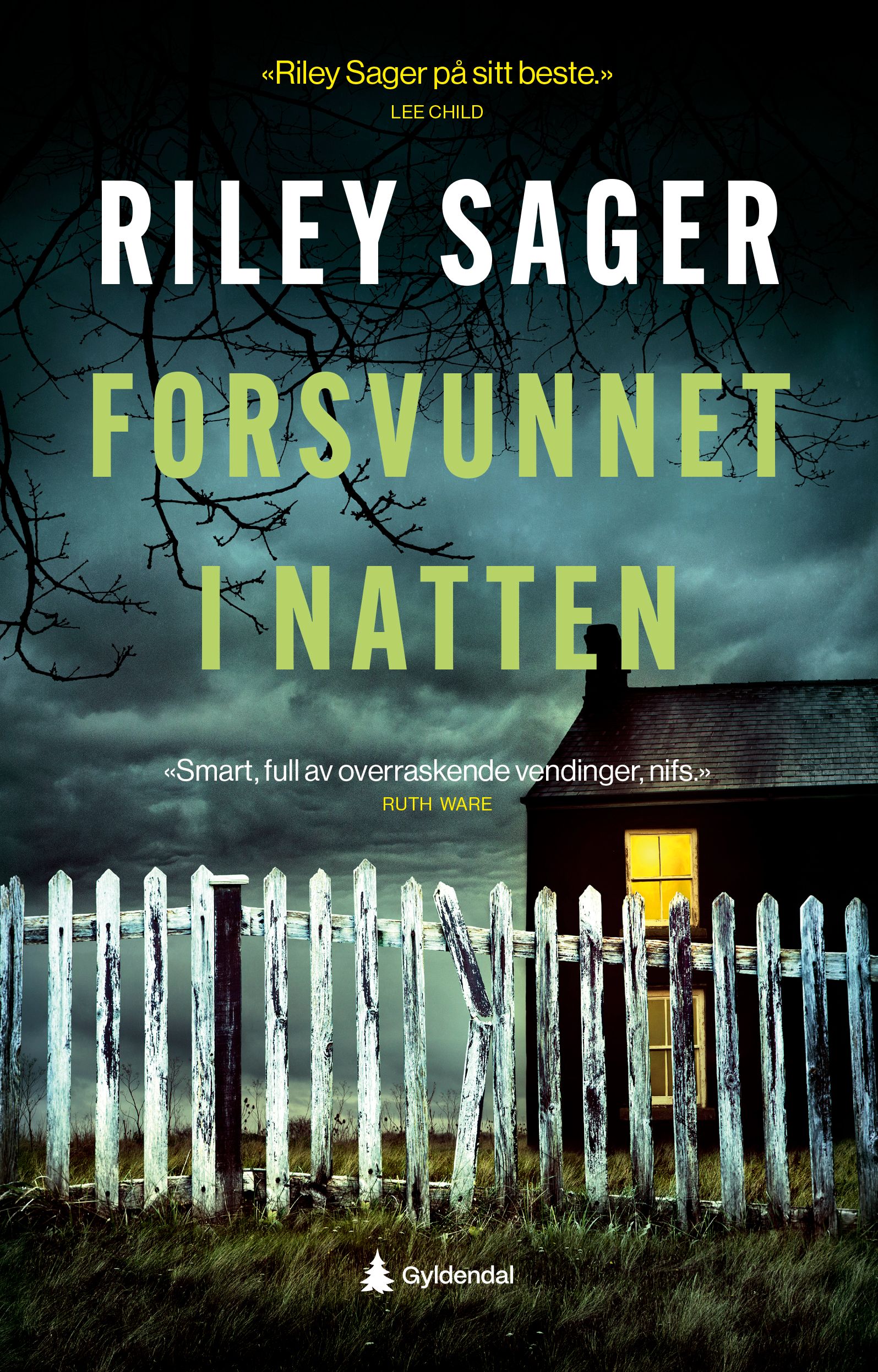 Forsvunnet i natten