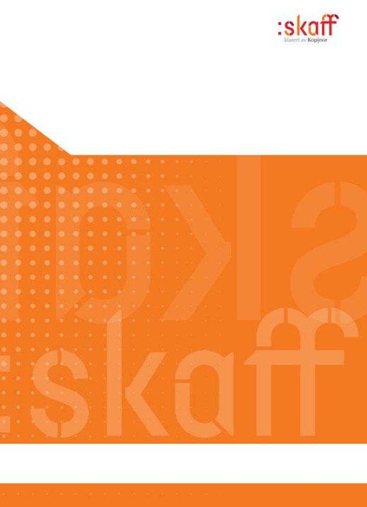 bokomslag: Norrøn grammatikk