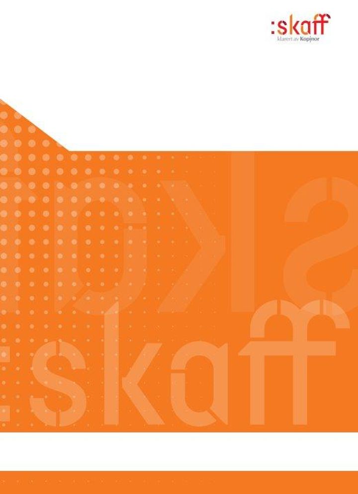 bokomslag: Planlegging og prosessleiing : korleis lykkas i utviklingsarbeid