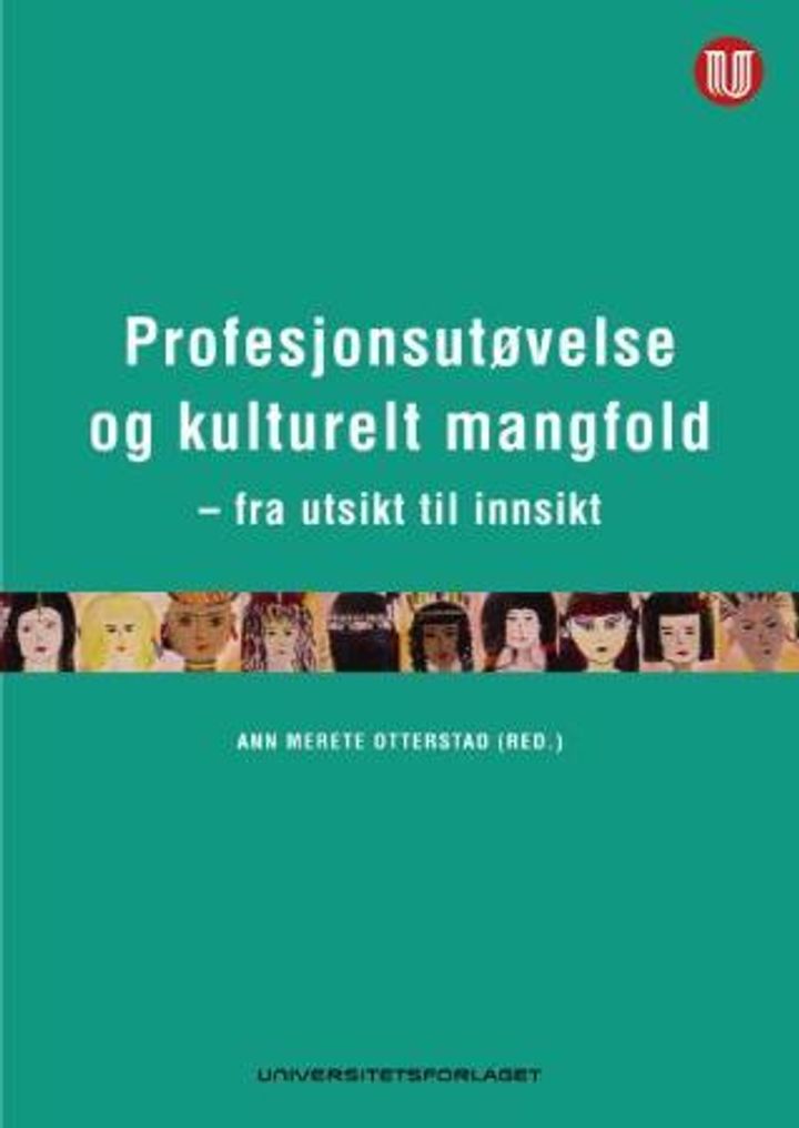 bokomslag: Profesjonsutøvelse og kulturelt mangfold : fra utsikt til innsikt