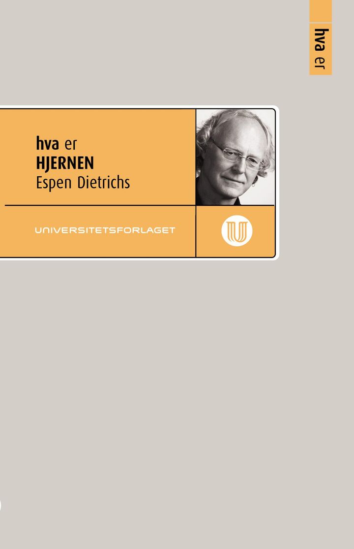 bokomslag: Hva er hjernen