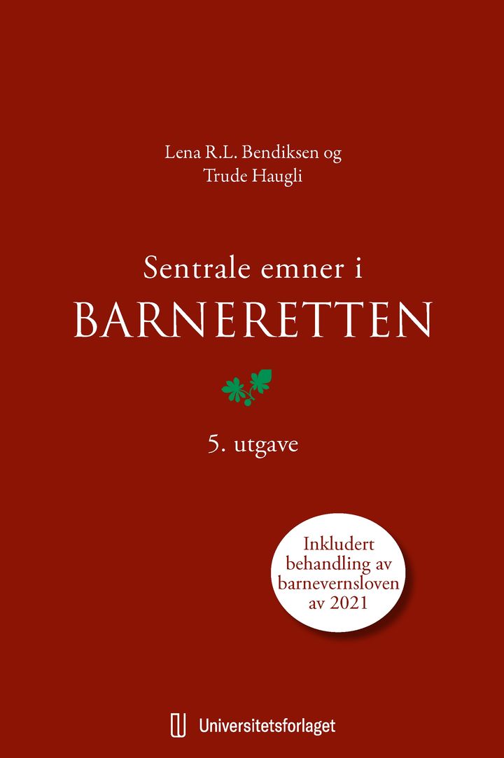 bokomslag: Sentrale emner i barneretten