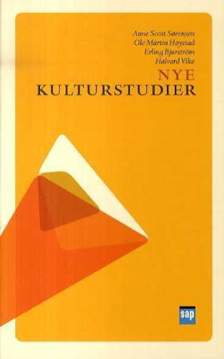 bokomslag: Nye kulturstudier : en innføring