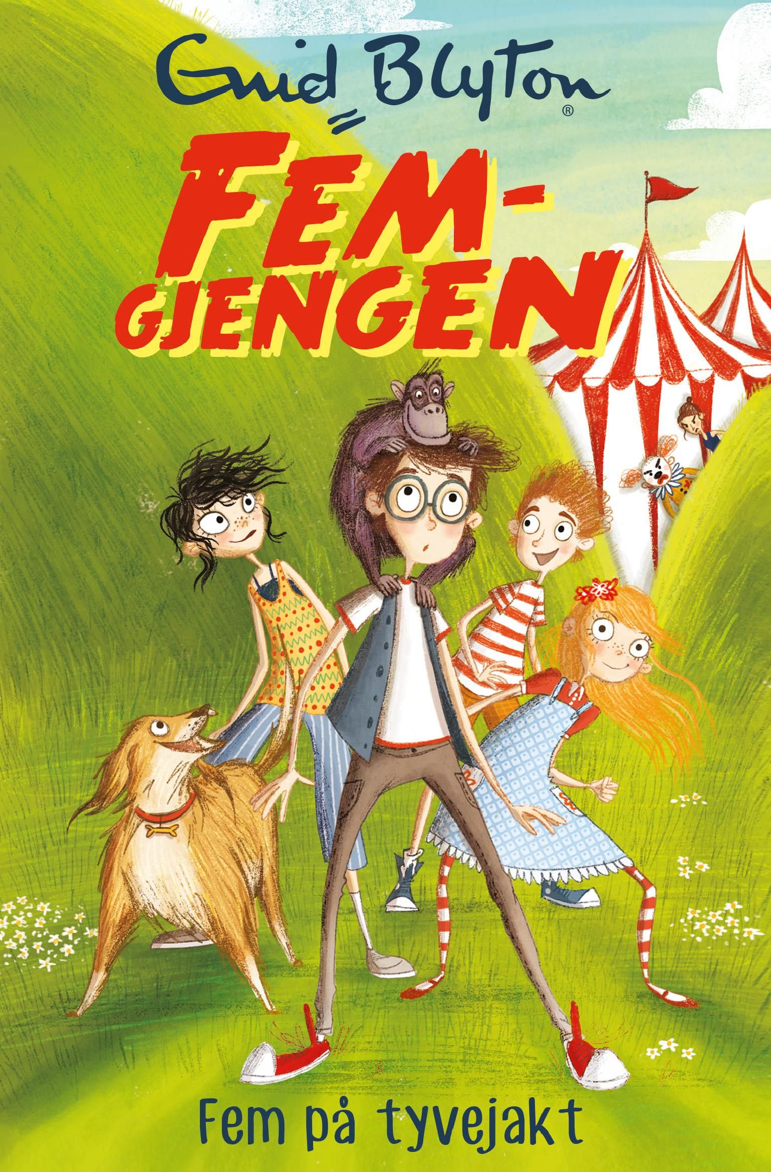 Bokomslag: Fem på tyvejakt
