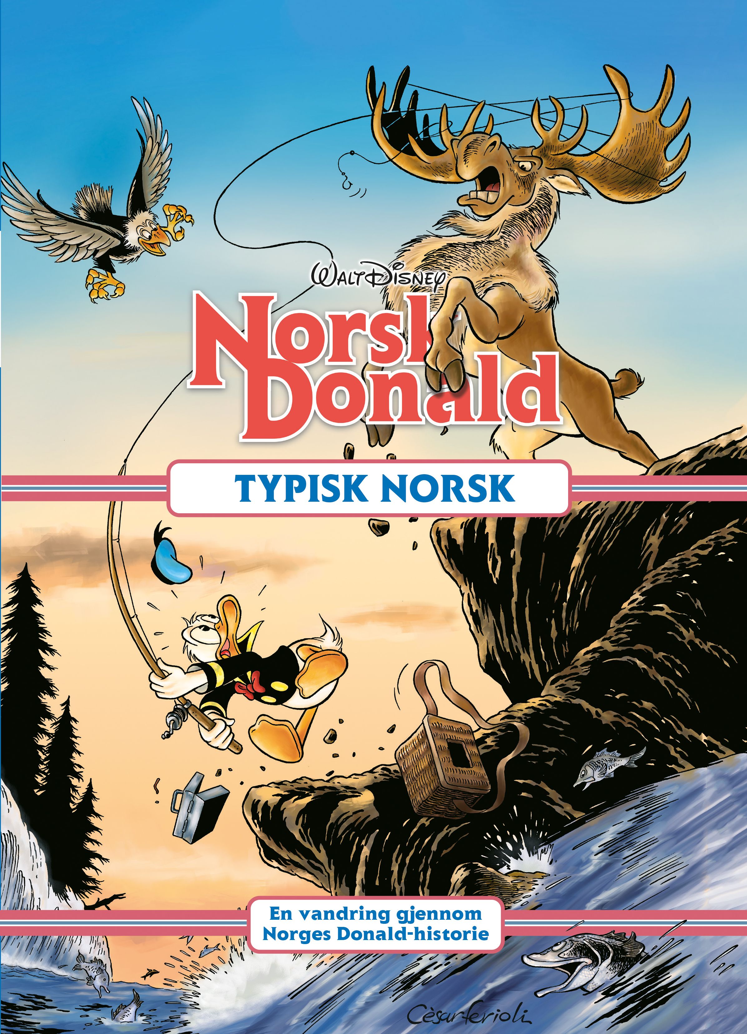 Bokomslag: Typisk norsk