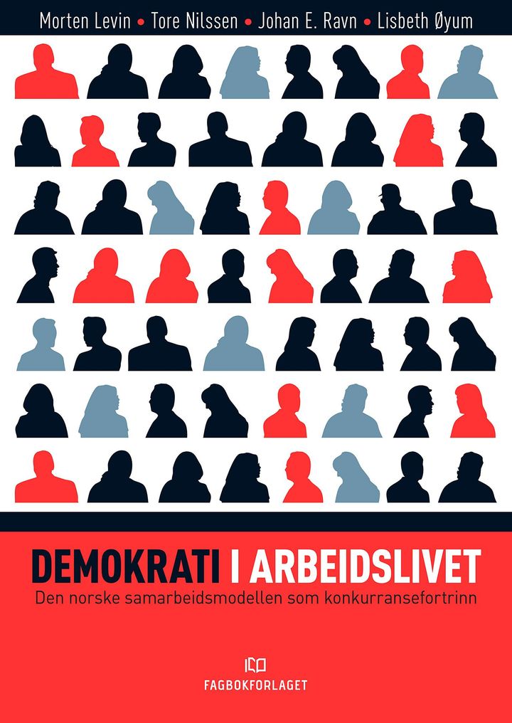 bokomslag: Demokrati i arbeidslivet : den norske samarbeidsmodellen som konkurransefortrinn
