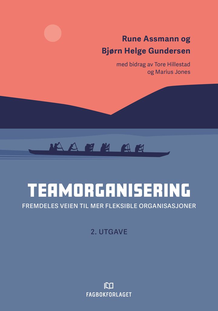 bokomslag: Teamorganisering : veien til mer fleksible organisasjoner