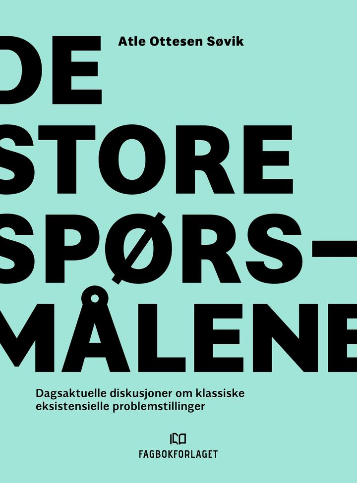 bokomslag: De store spørsmålene : dagsaktuelle diskusjoner om klassiske eksistensielle problemstillinger