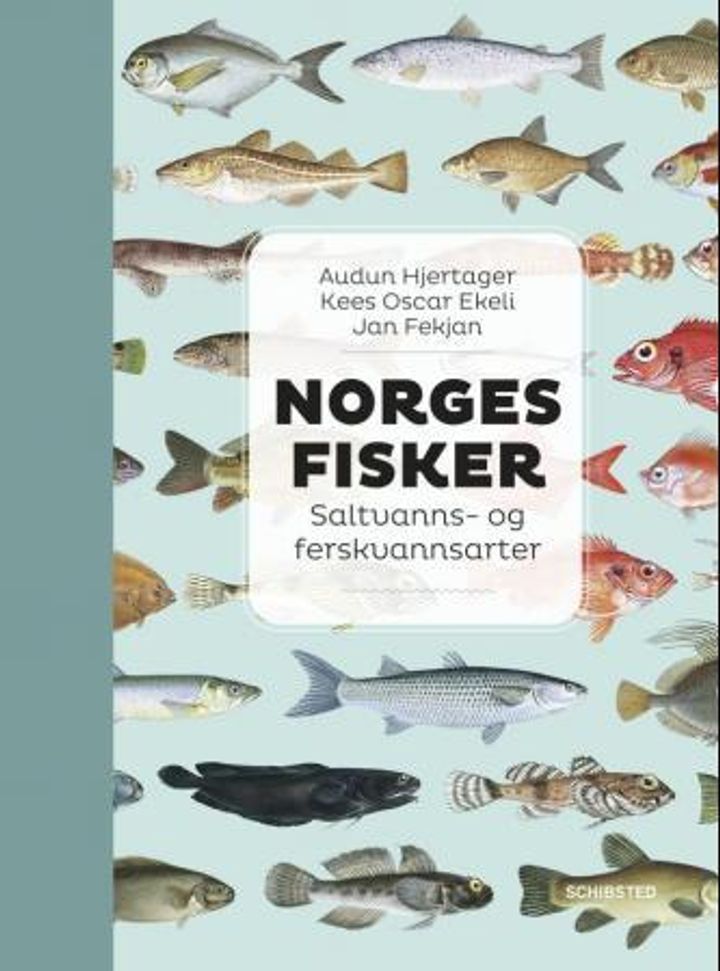 bokomslag: Norges fisker : saltvanns- og ferskvannsarter
