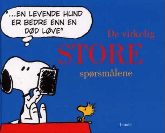 De virkelig store spørsmålene