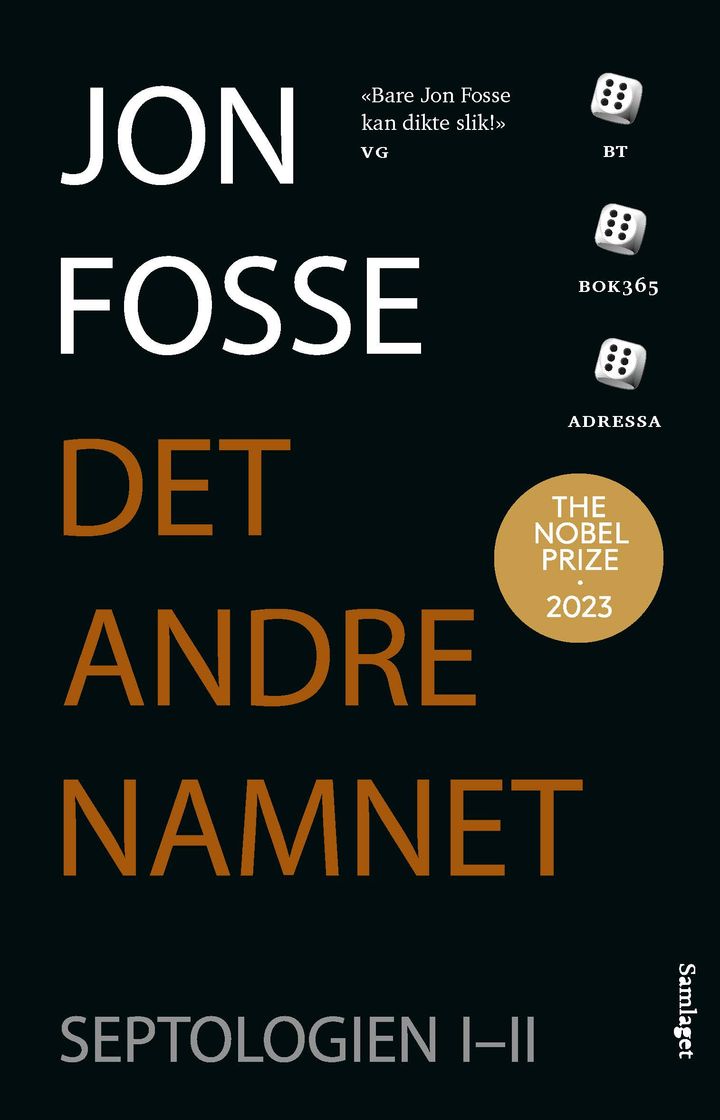 bokomslag: Det andre namnet : roman