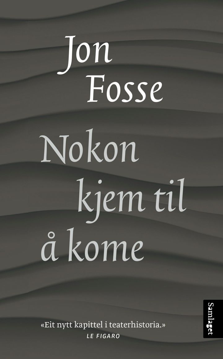 bokomslag: Nokon kjem til å kome : skodespel