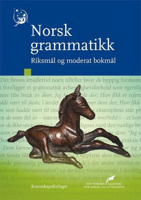 Bokomslag: Norsk grammatikk