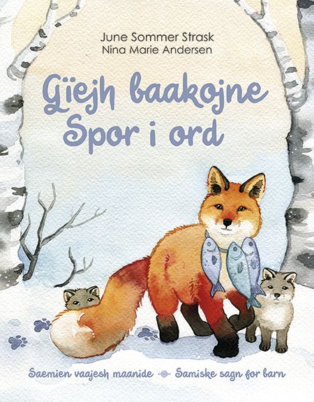 Bokomslag: Gïejh baakojne = Spor i ord
