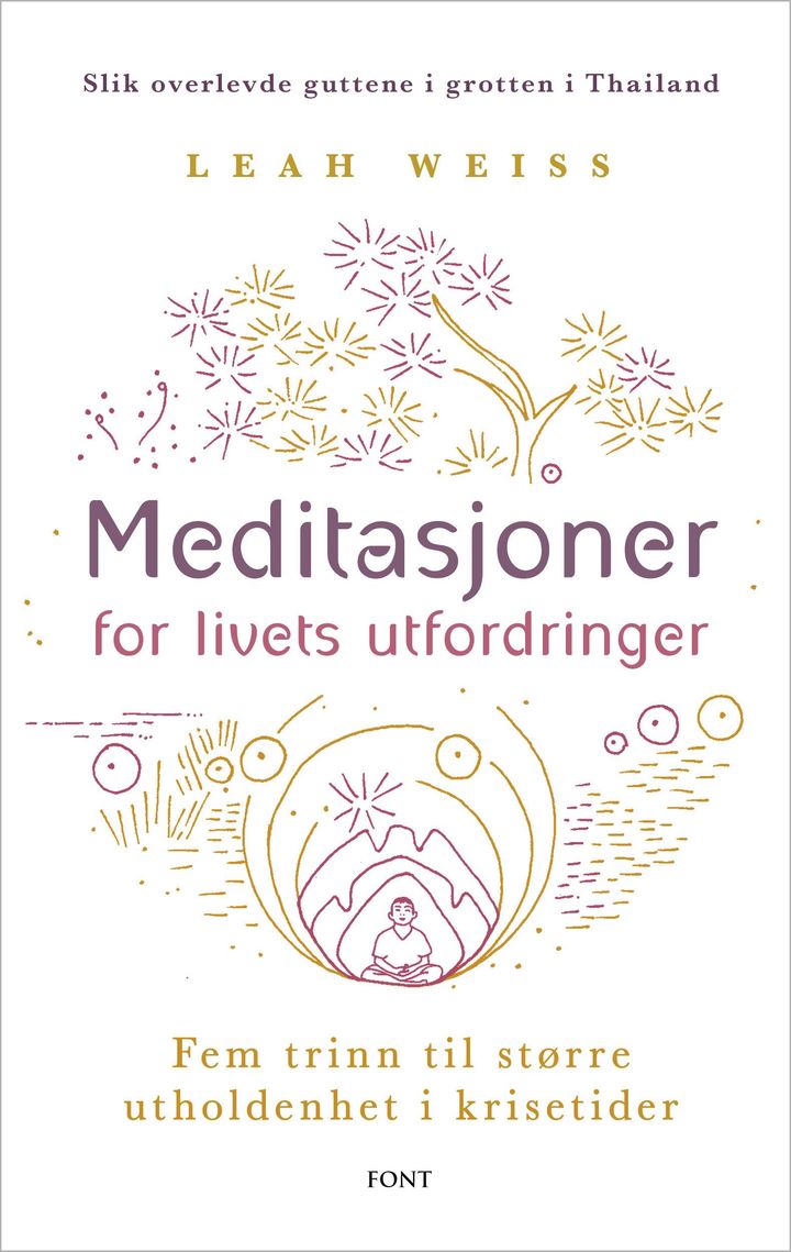 bokomslag: Meditasjoner for livets utfordringer : fem trinn til større utholdenhet i krisetider